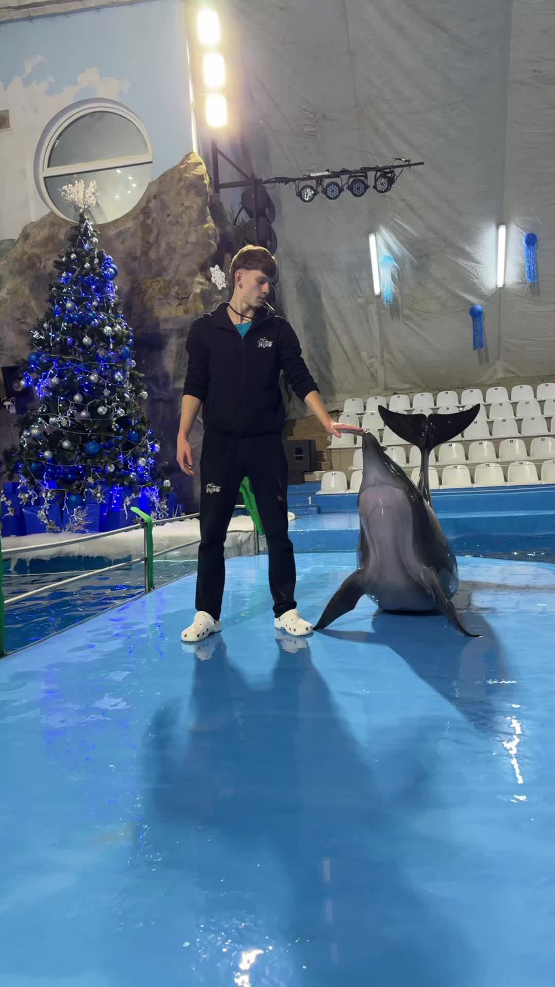 @Варикозник