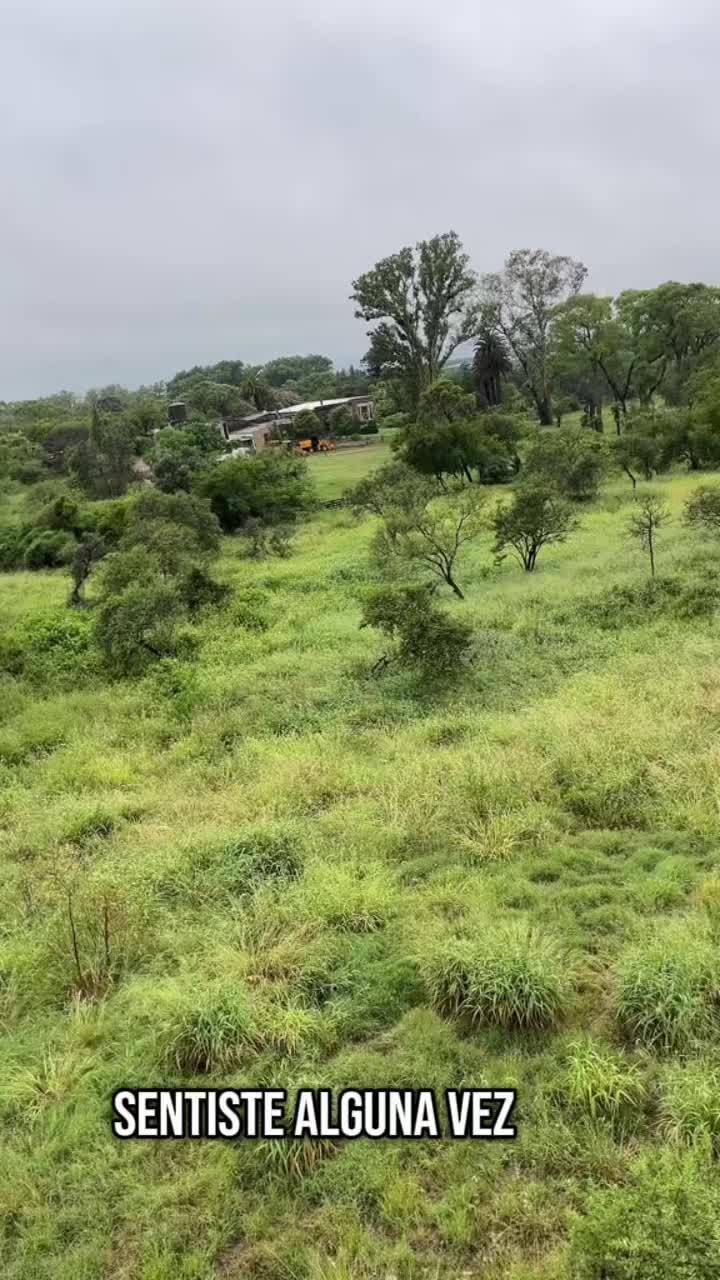 @Dani❤️