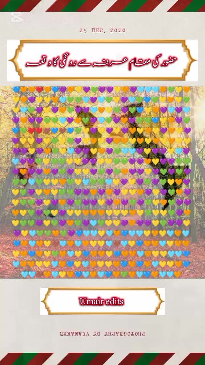 @♚TLPKING♚