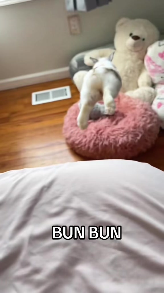 @snackqueenandsir