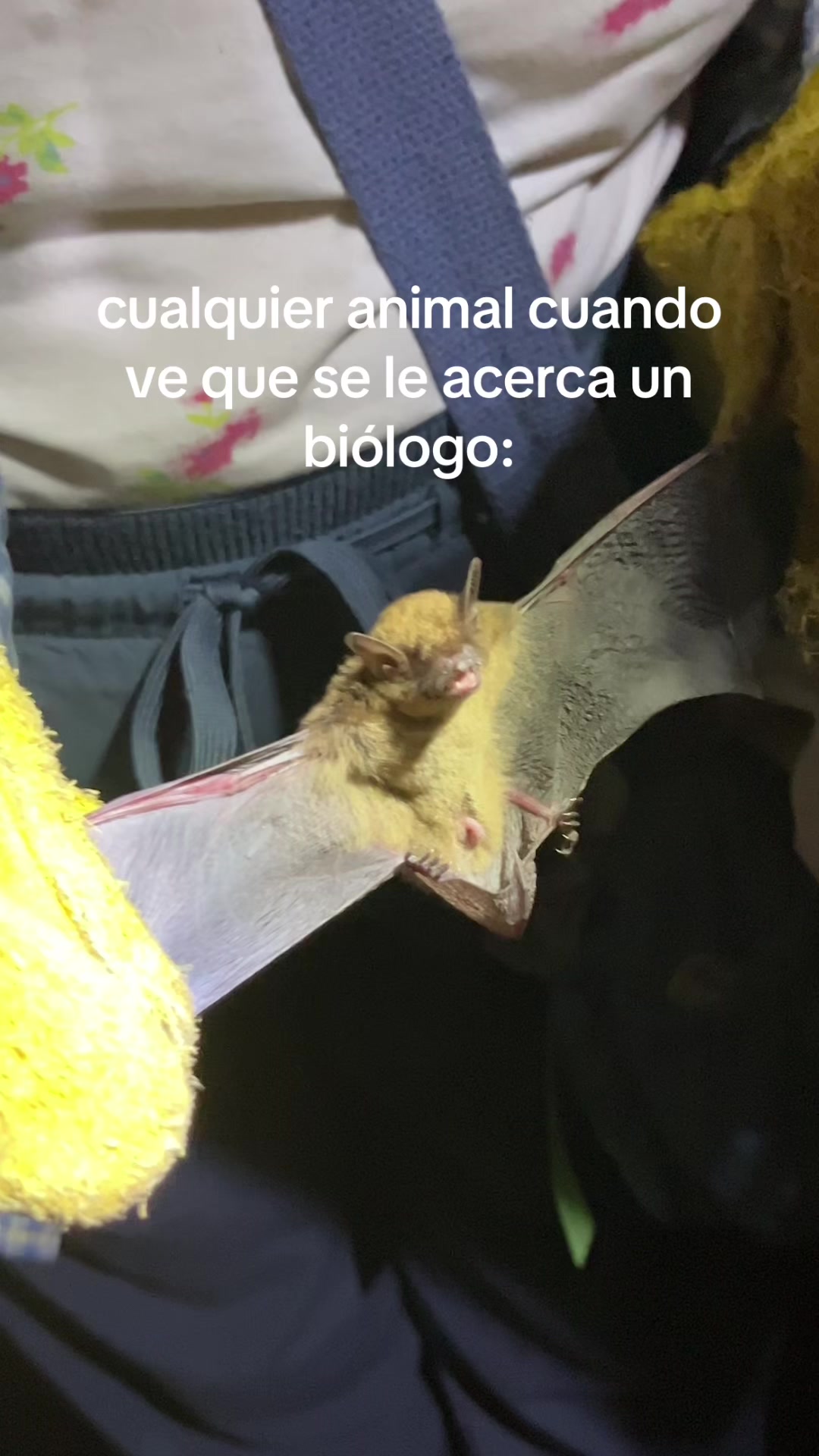 @camilitaa ꩜