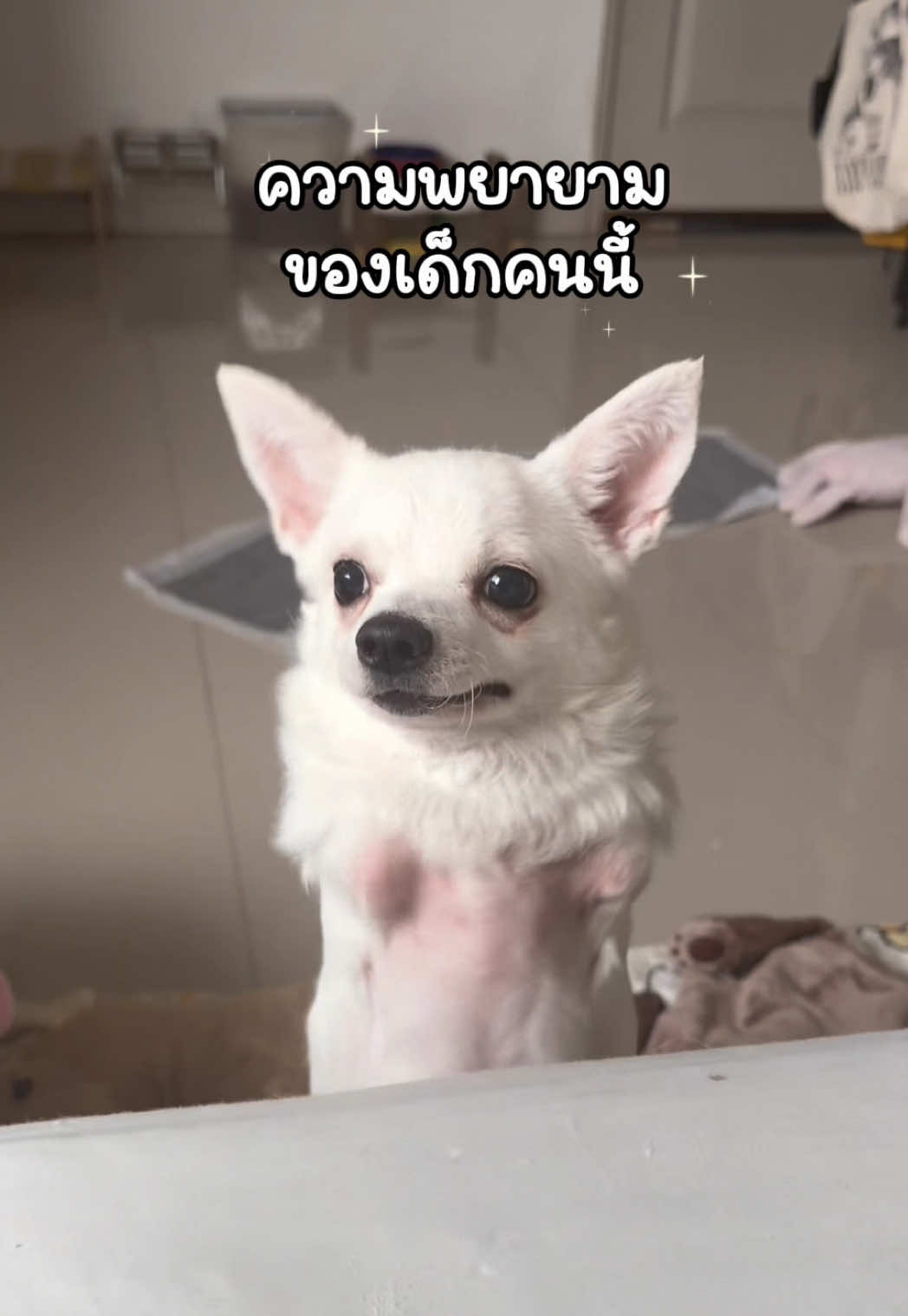 @ผมชื่อเฟิร์บ