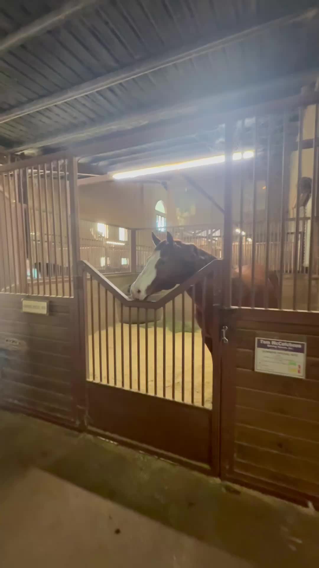 @Tom McCutcheon Reining Horses