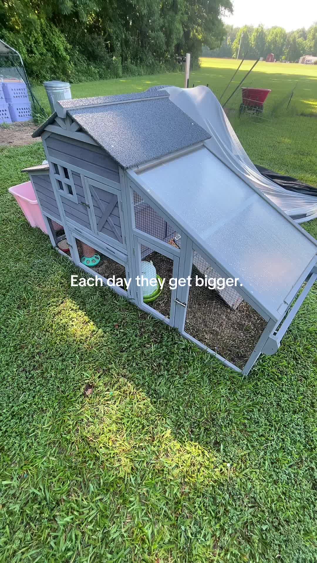 @A M B E R 🗝️