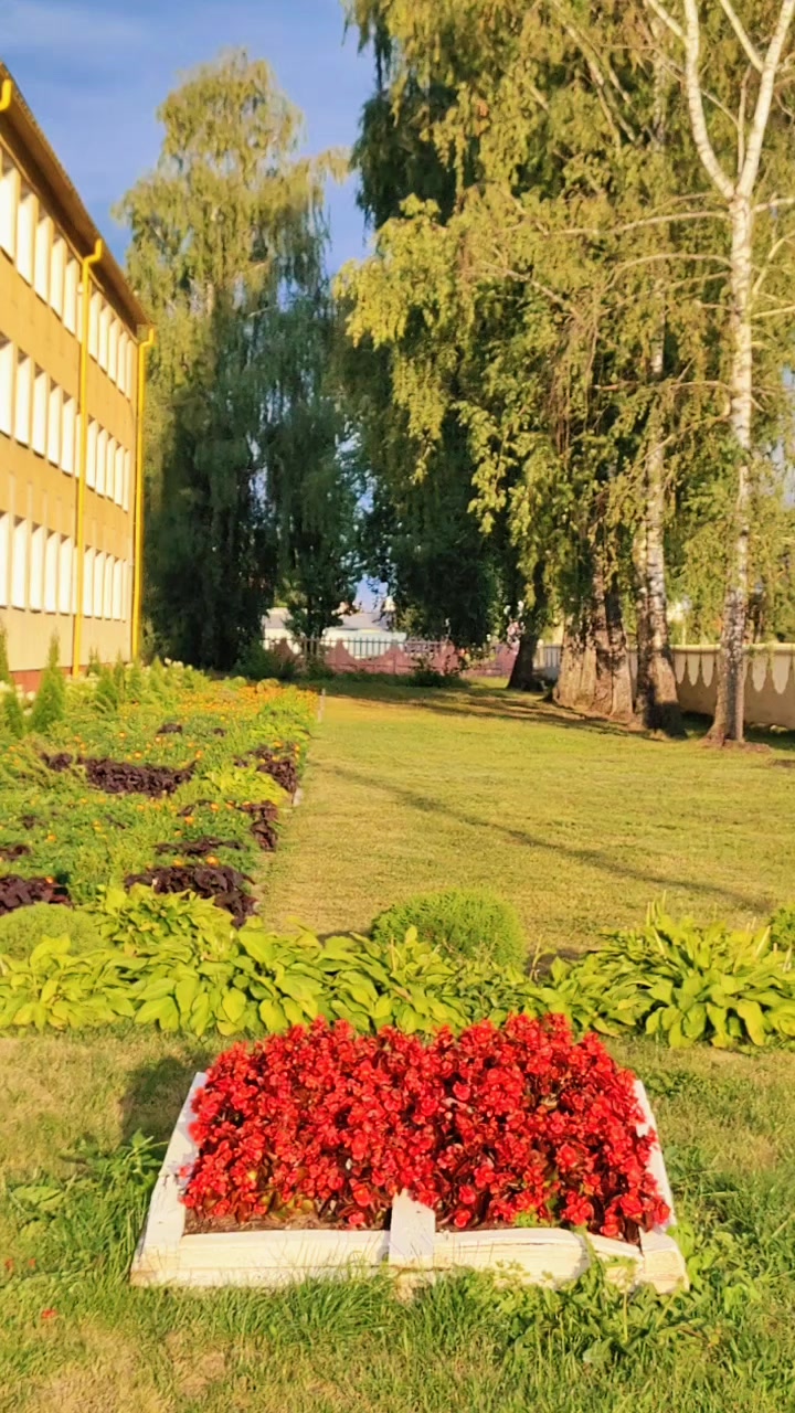 @Наталья Микешина