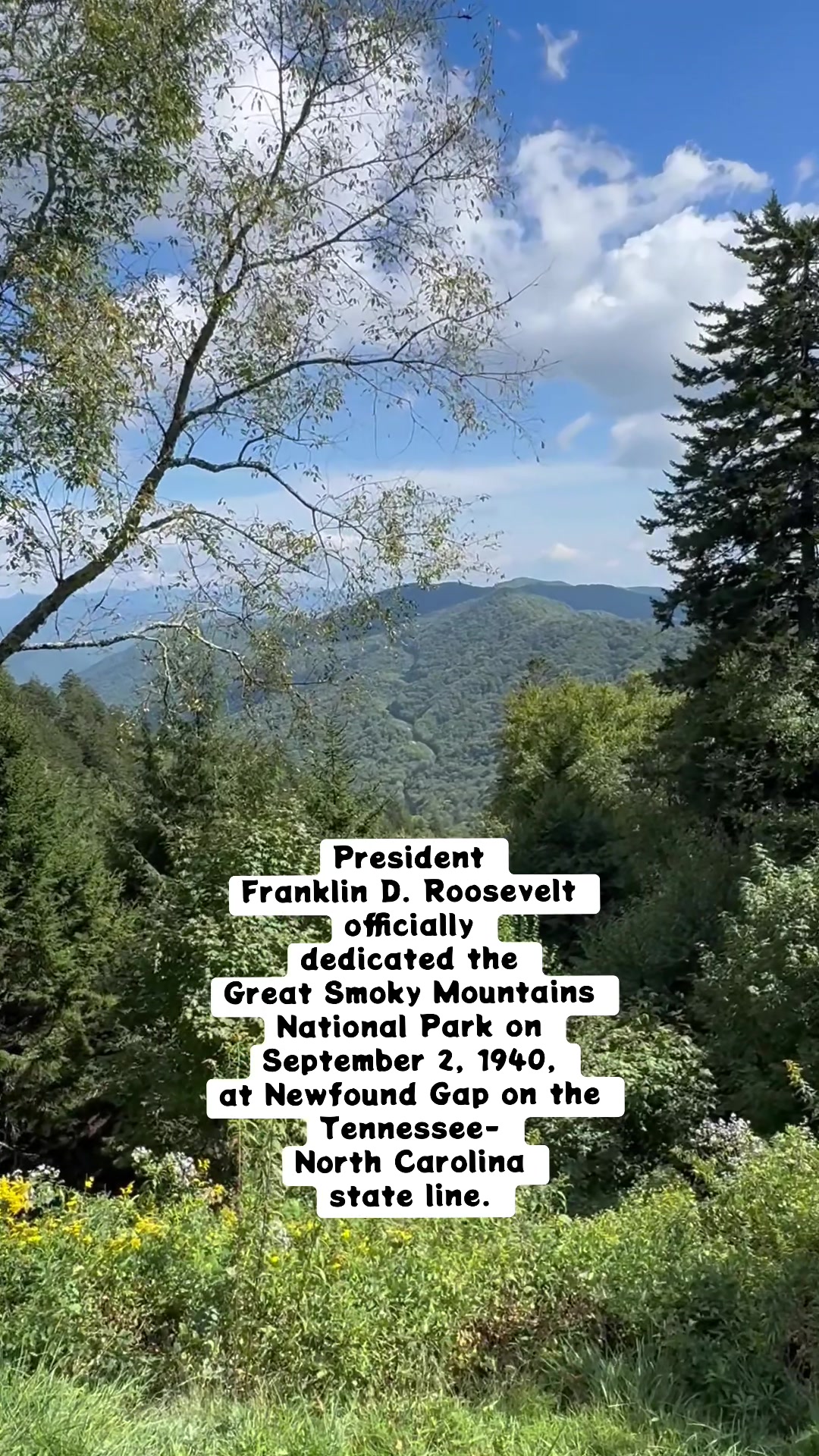 @🇺🇸 🐸 PatriotUnicorn333✝️ 🦄