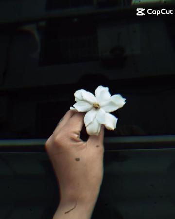 @ččđ¨đł