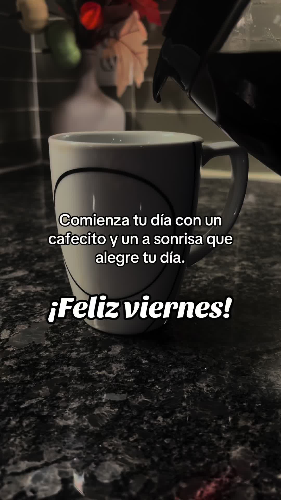 @thaniaSayegh💫frases