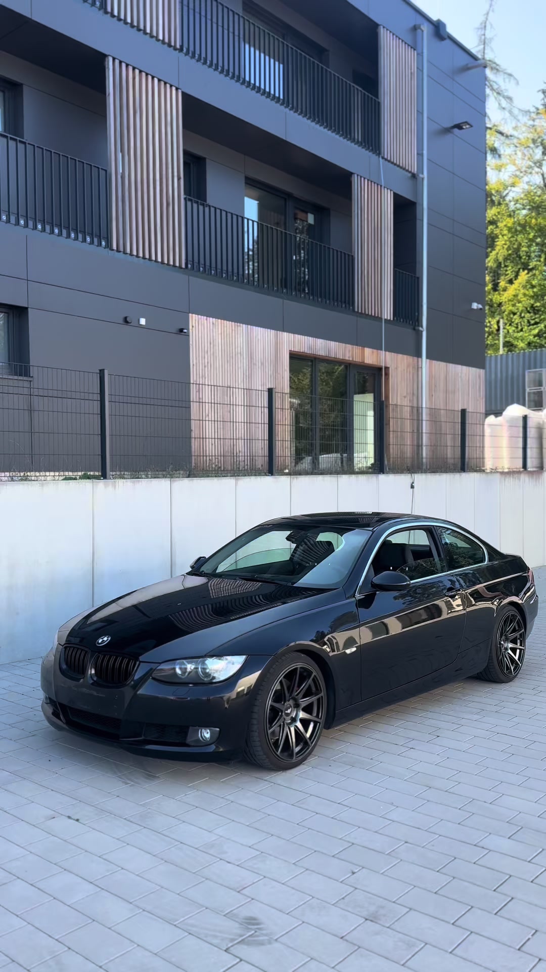 @yzf.levin