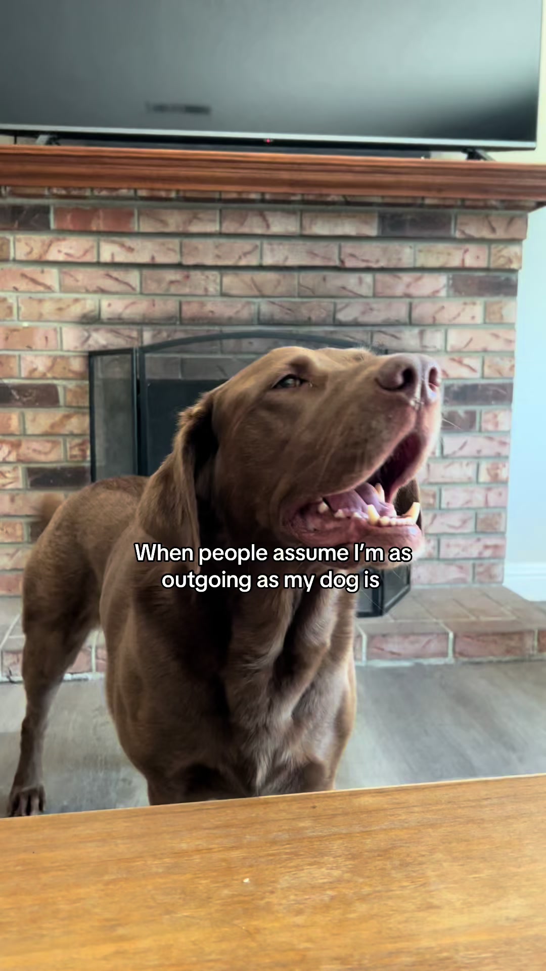 @The Chocolate Chonks 🤎