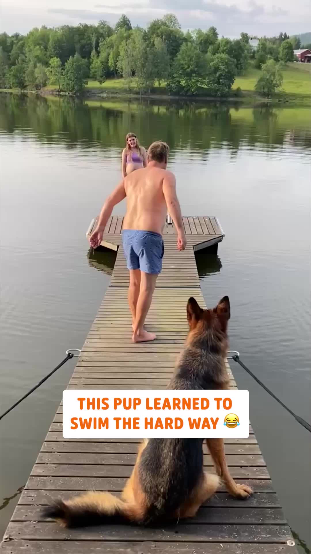 @Pawsome Pets