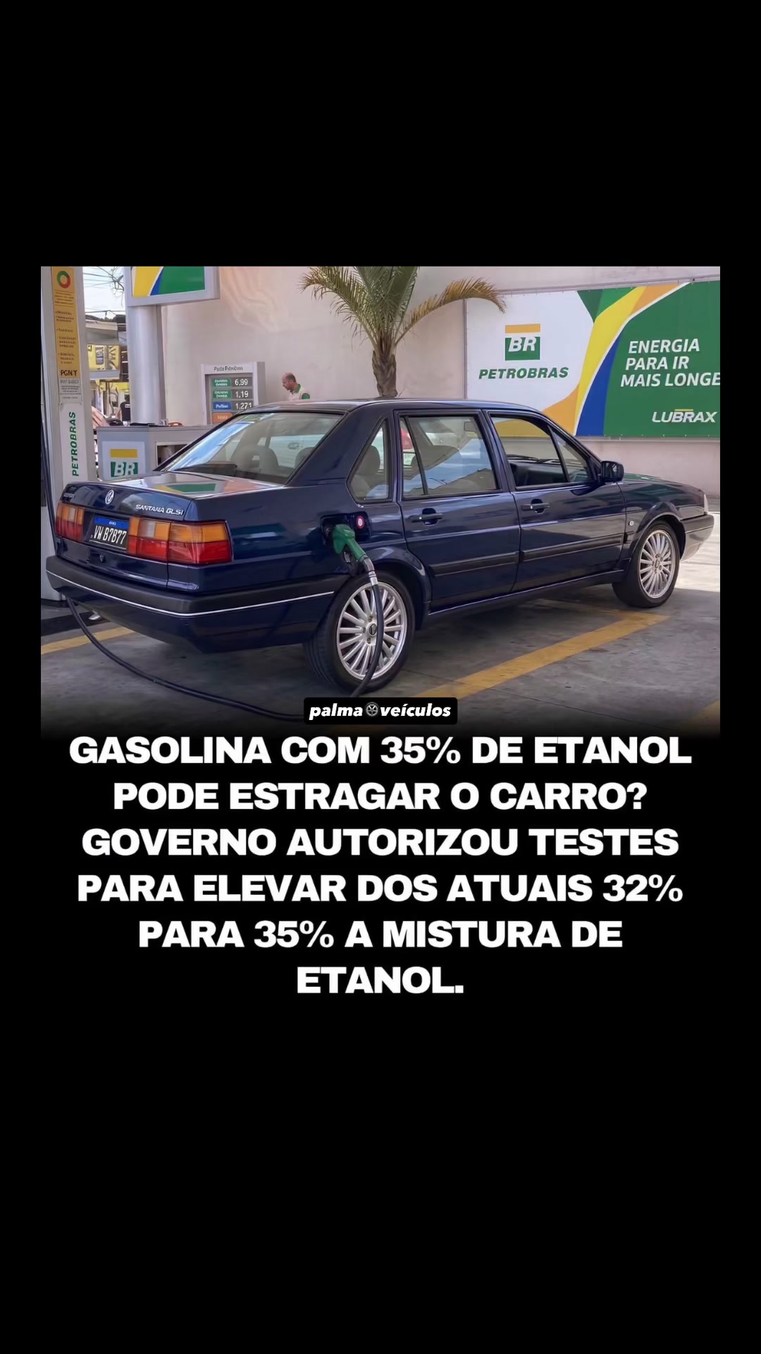 @palmaveiculos