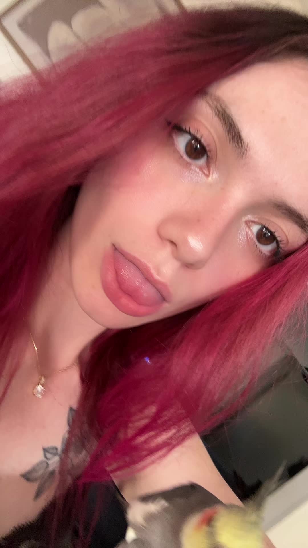 @zoe
