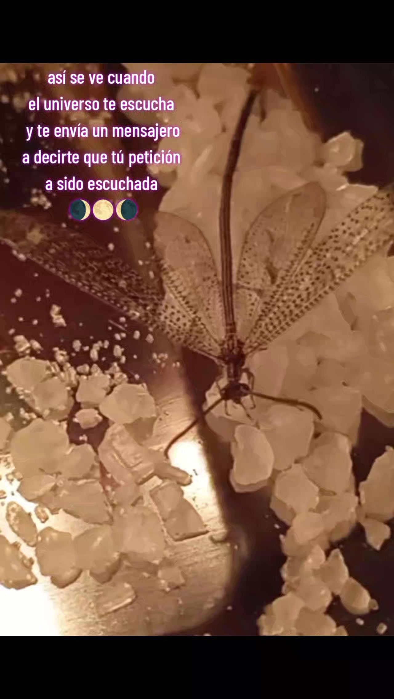 @🔮Hechizera🧹atnaxs🌒🌕🌘