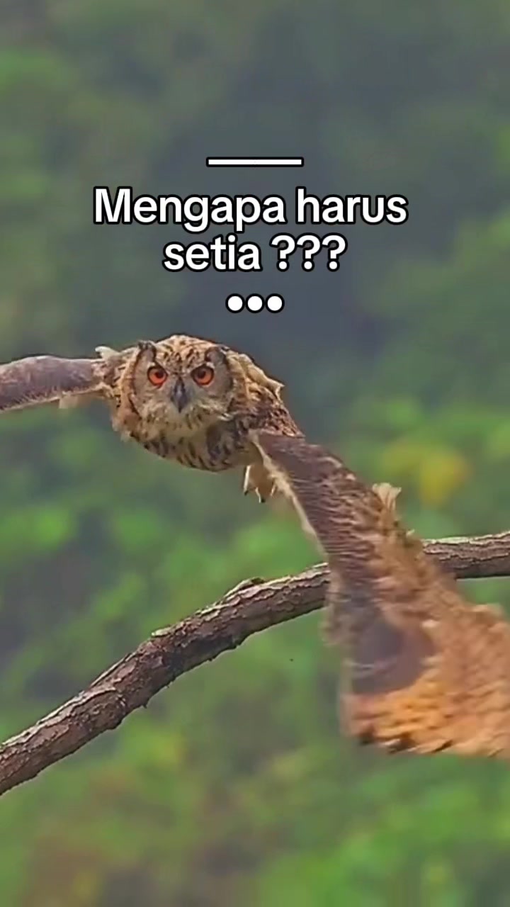 @Analia Kim