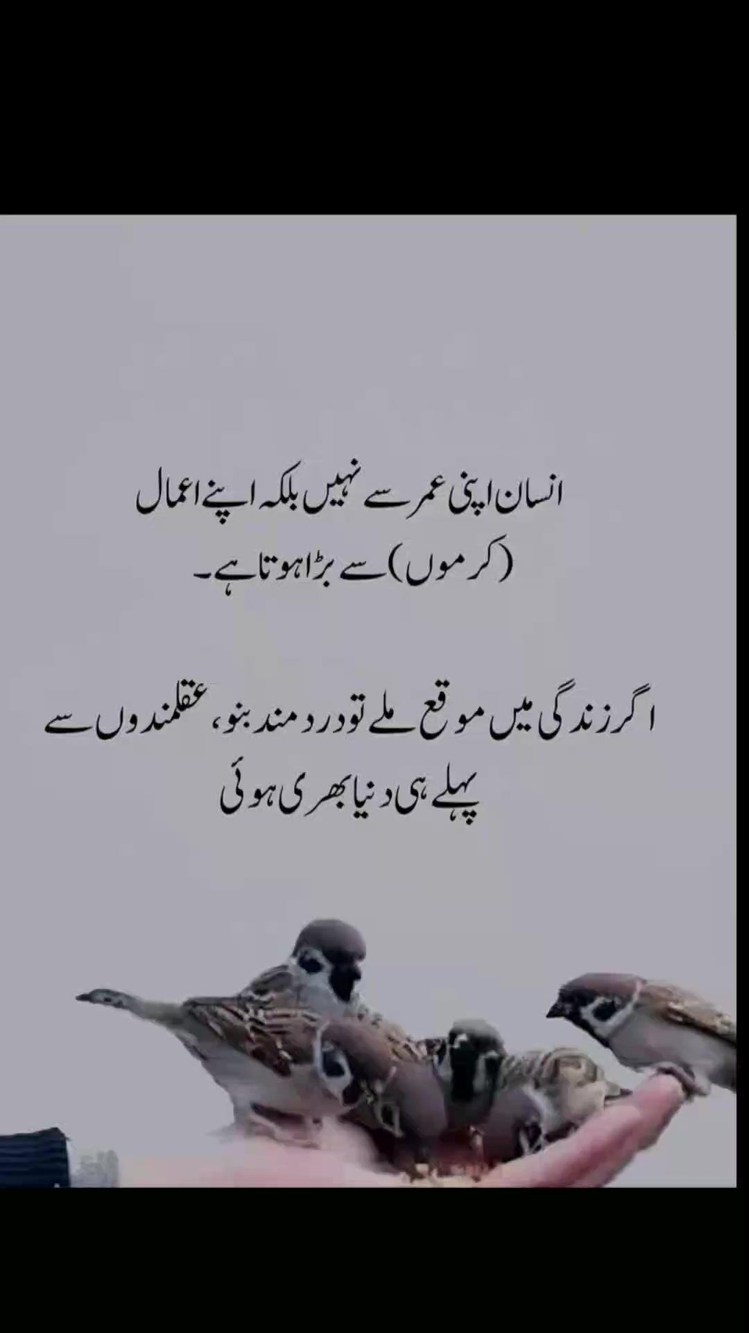 @SalmanSaeed125