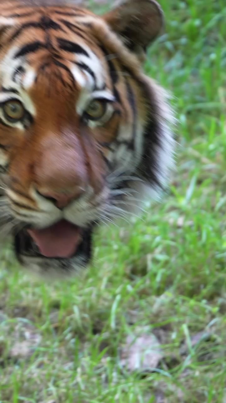 @Cincinnati Zoo