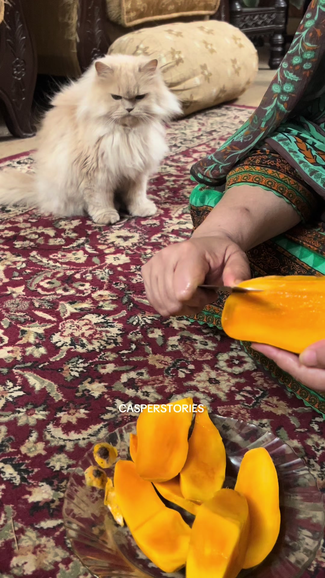 @𝑪𝒂𝒔𝒑𝒆𝒓 & 𝑴𝒊𝒏𝒏𝒊𝒆 🐾