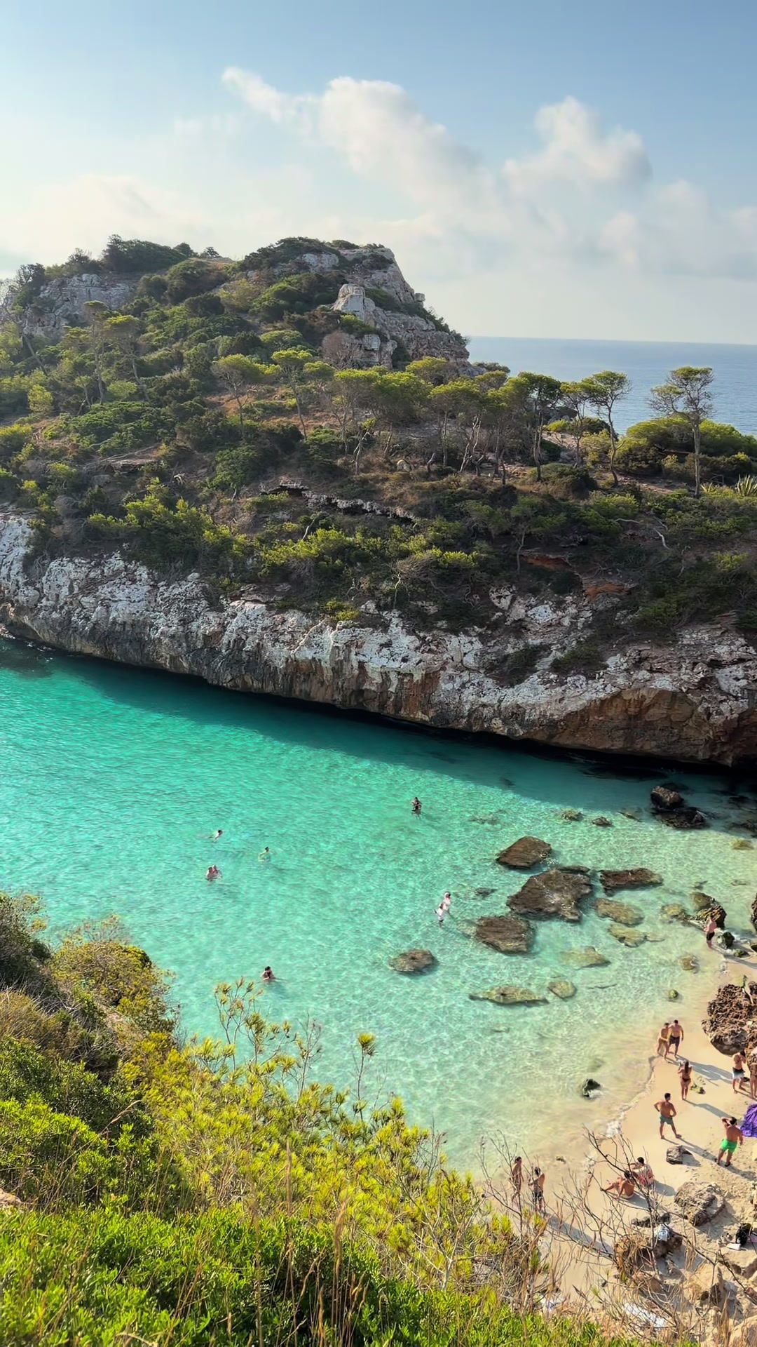 @Mineia 🌺 vegan travel