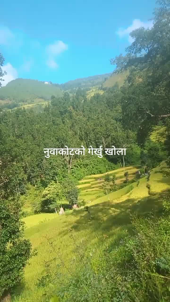 @Ashok Timsina