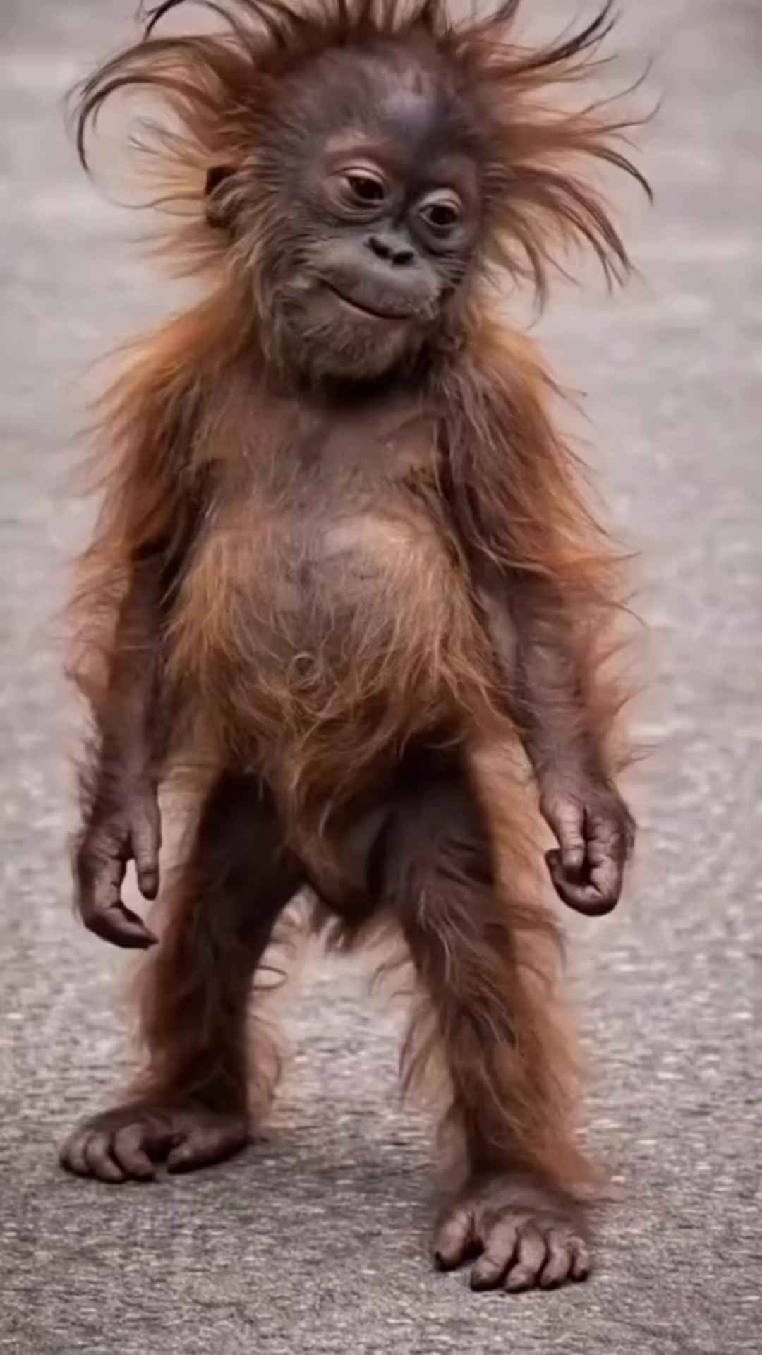 @keke_ecom