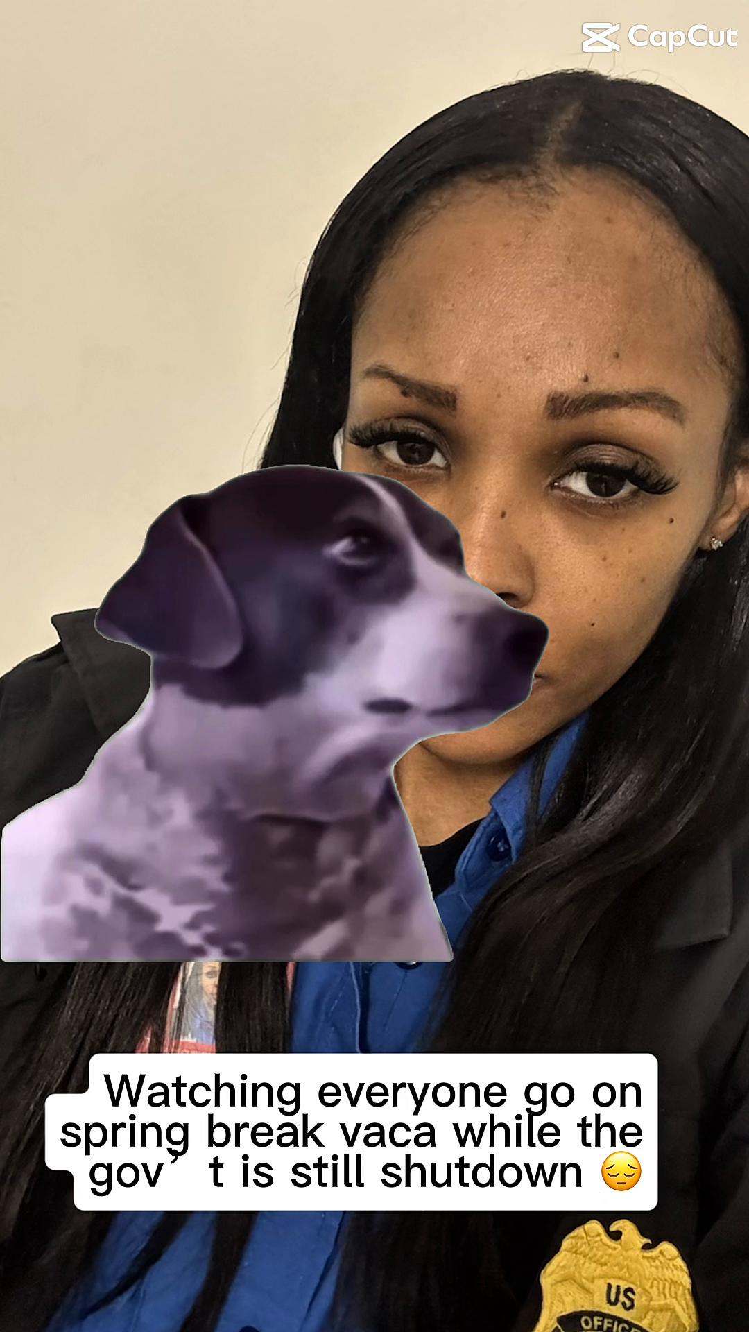 @Dani_