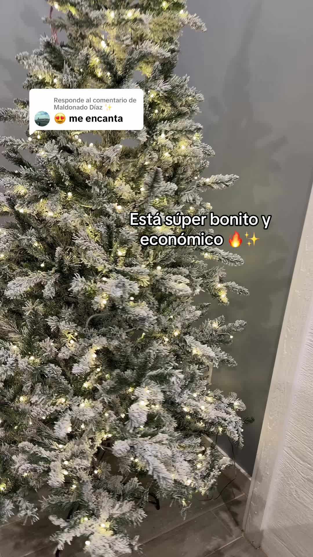 @alivalenciall