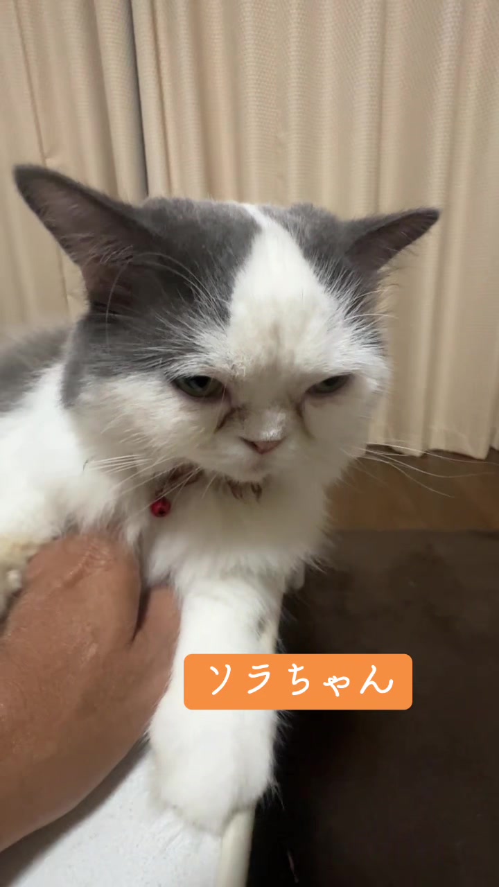@フカカン