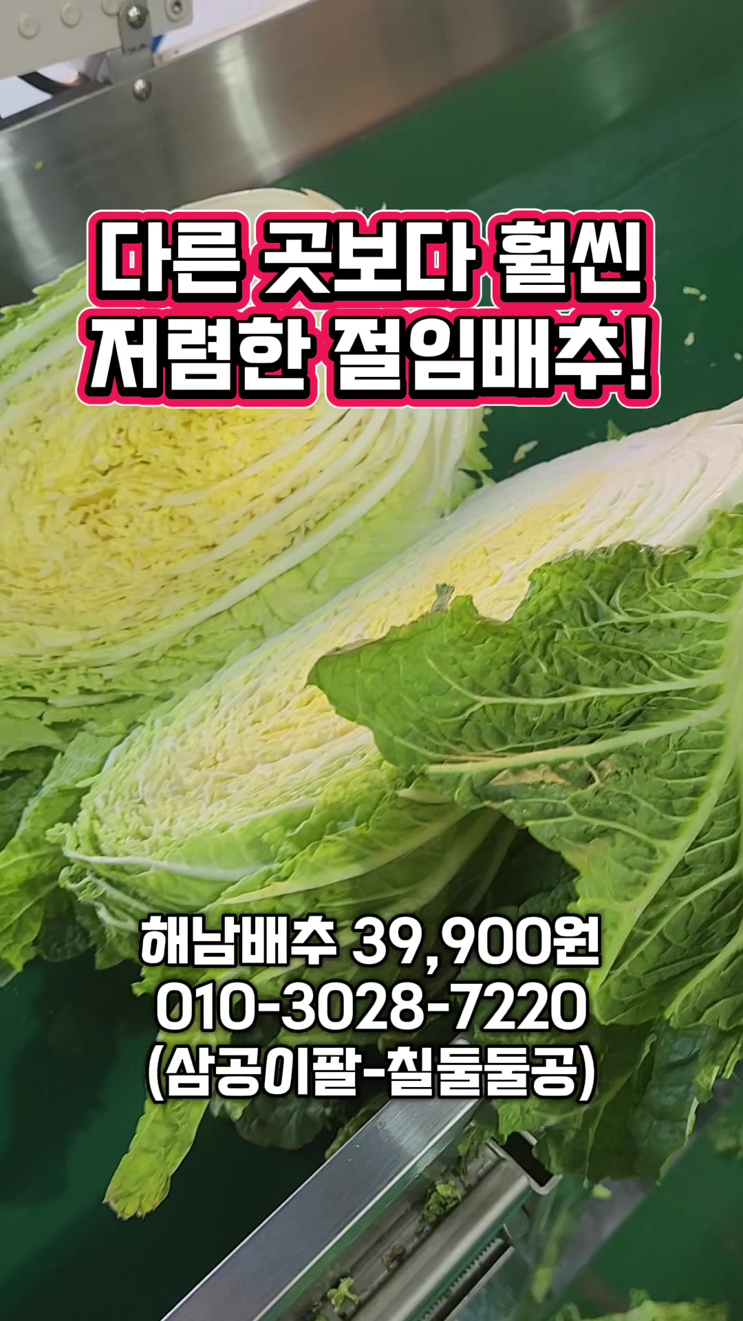 @한입의행복