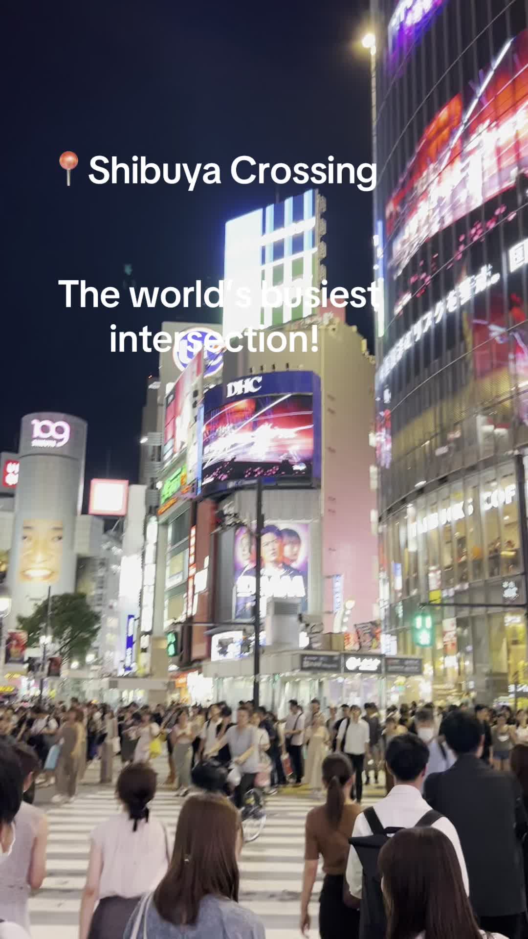@TheWorldWanderer | Travel 🌎