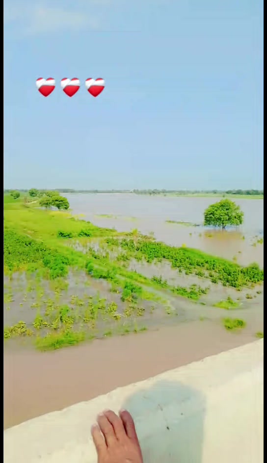 @Jalalpuri Phatan👑