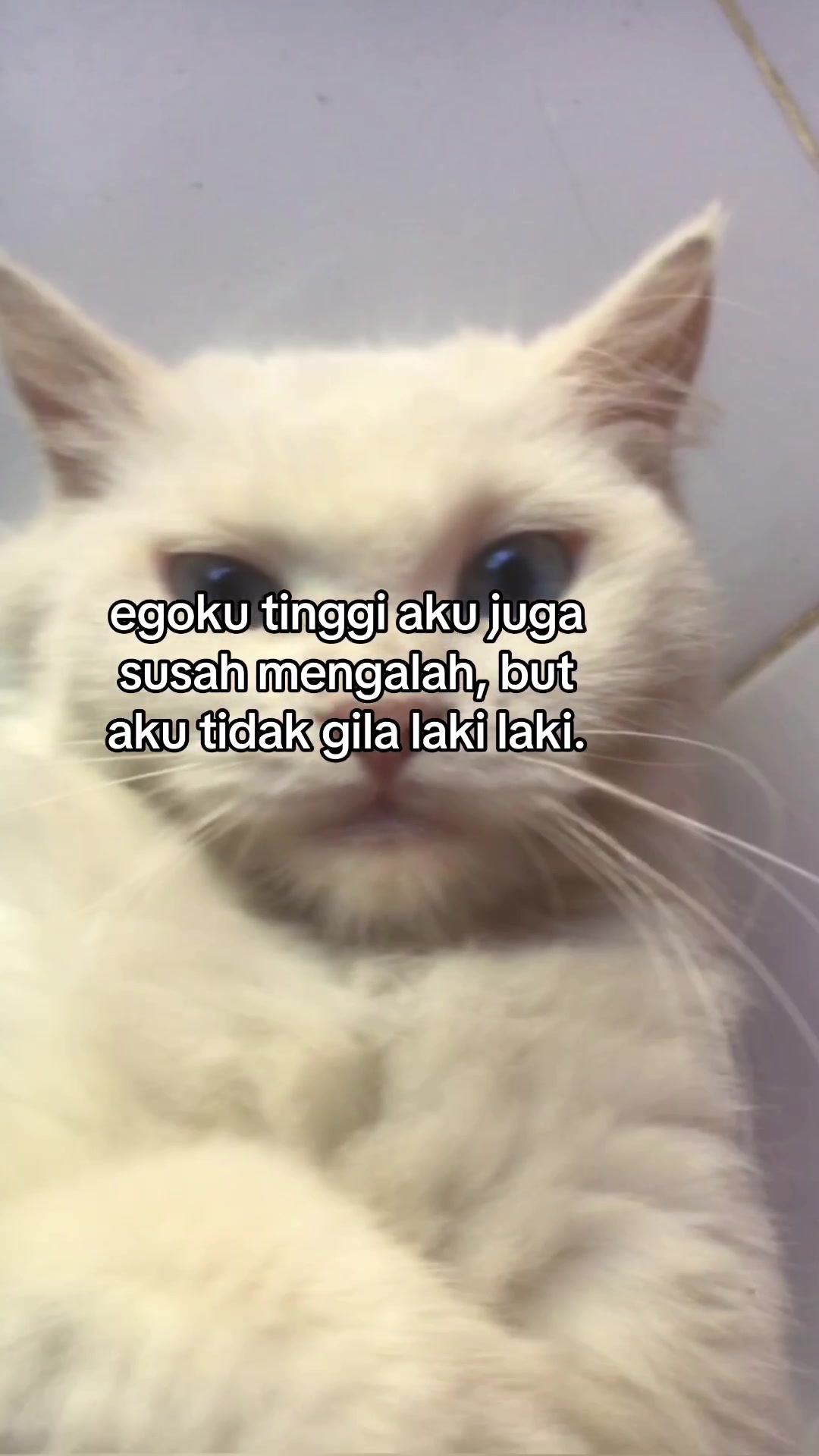 @zohwa__