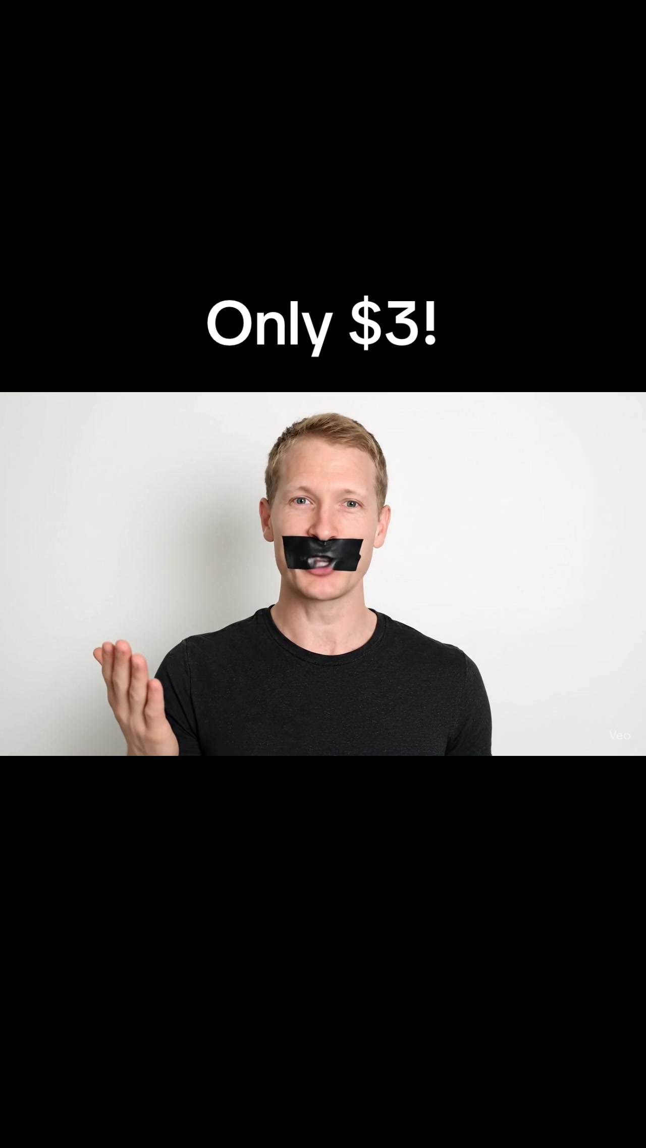 @🌯🌮🌯🌮🌯🌮🌯🌮
