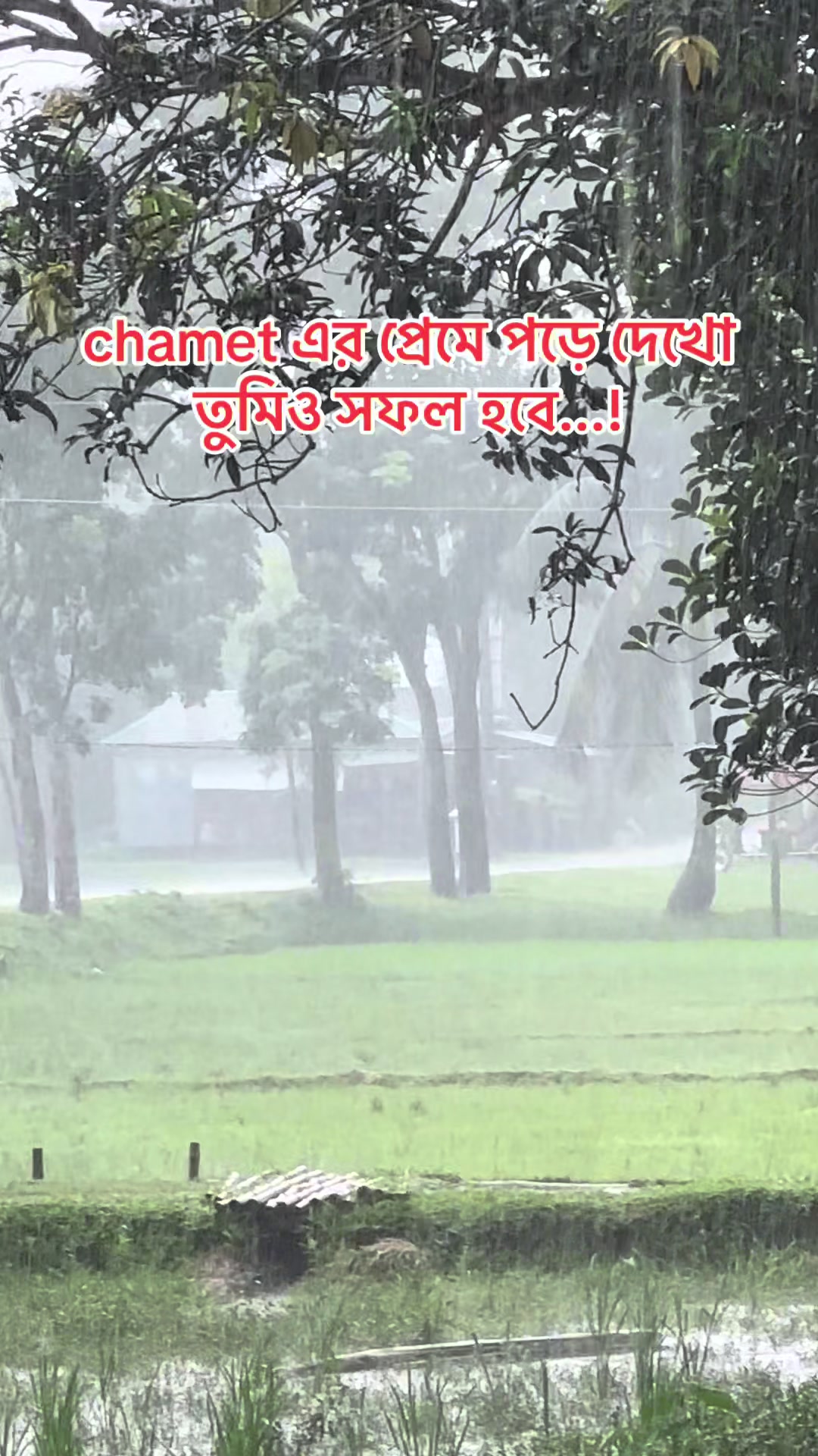 @Rajjak official