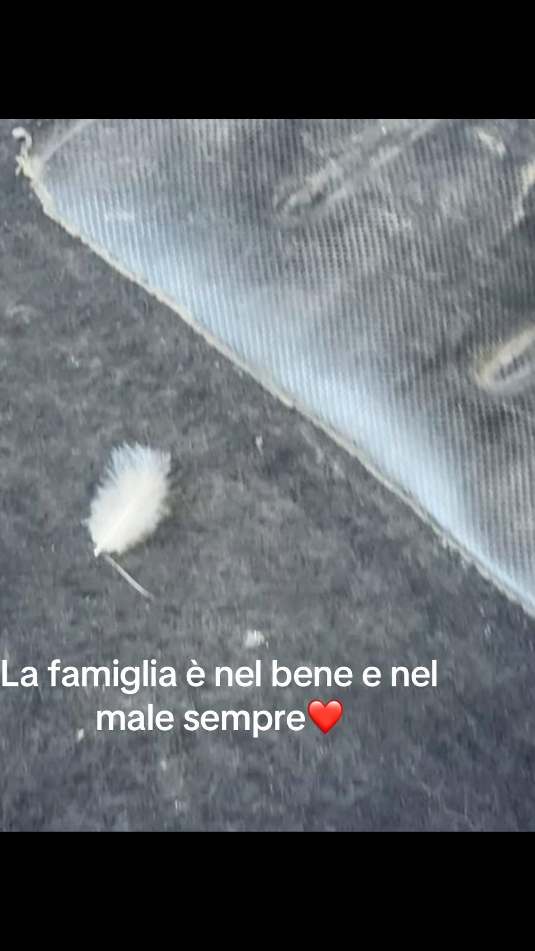 @Veronica Crocco