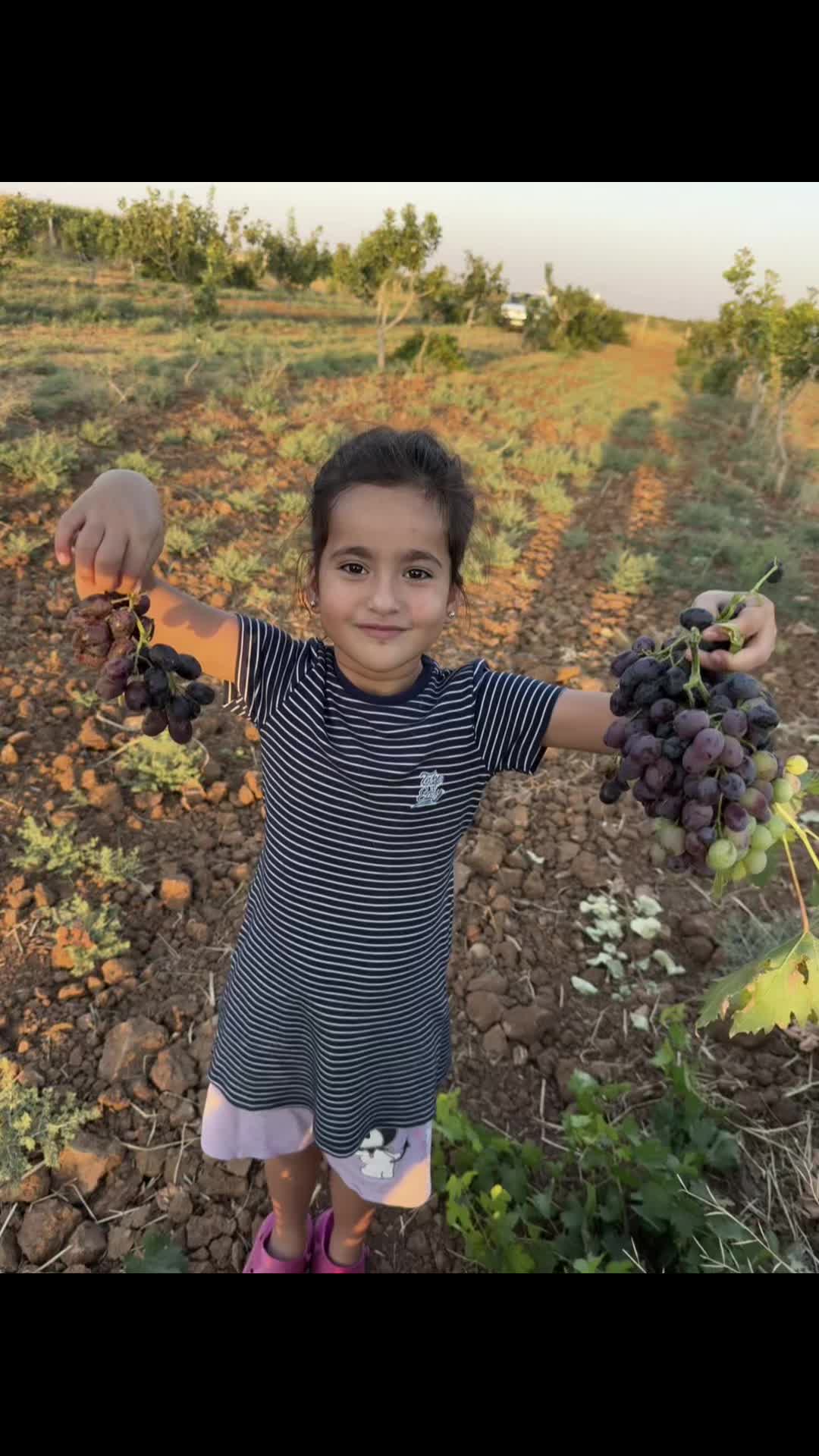 @Badıllıdron Uğur Badıllı