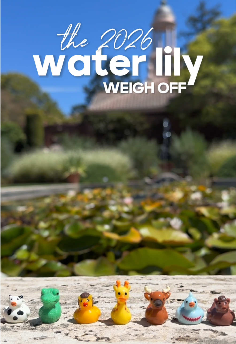 @Filoli