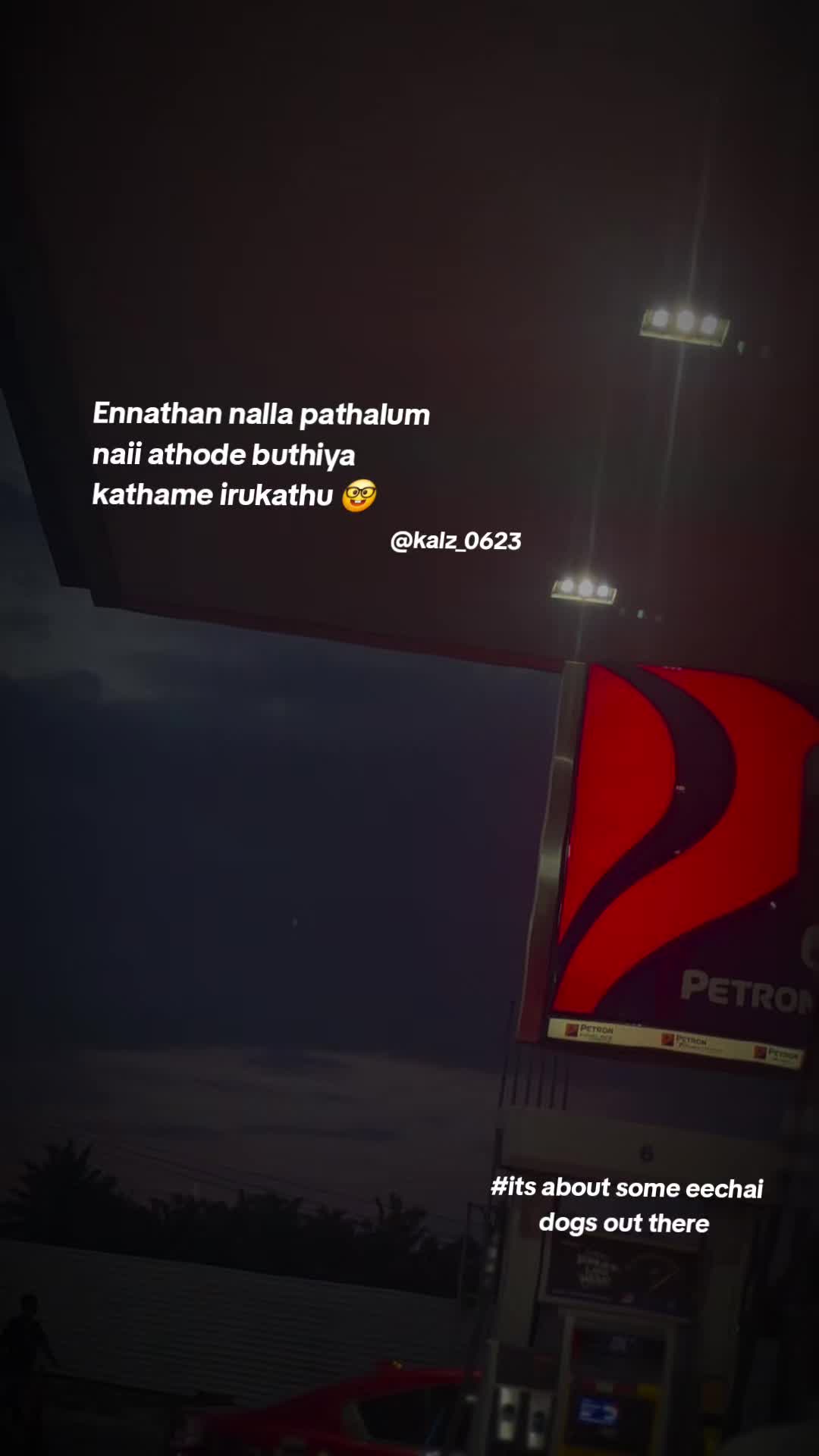 @Pɾιʋʋ Kαʅȥ🎀🤍