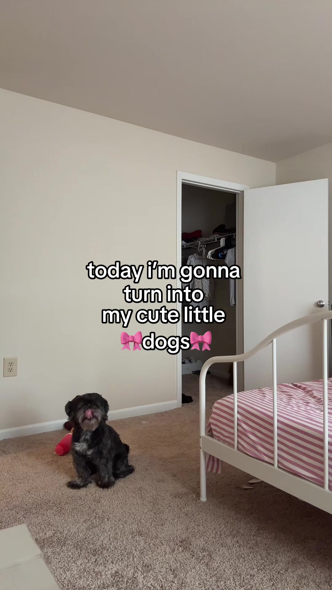 @crybaby