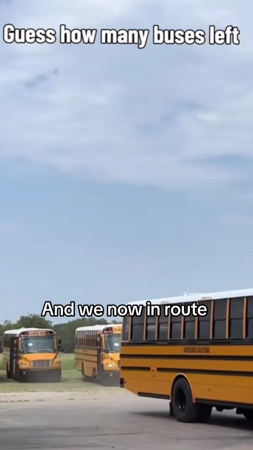 @Bluebirdbus302