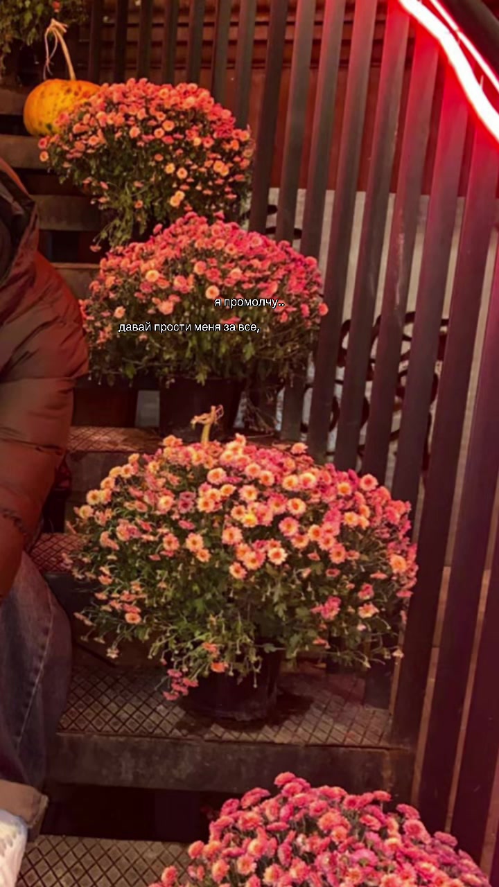 @✿𝒶𝓷𝒶𝓼𝓽𝓪𝓼𝓲𝔂𝓪✿