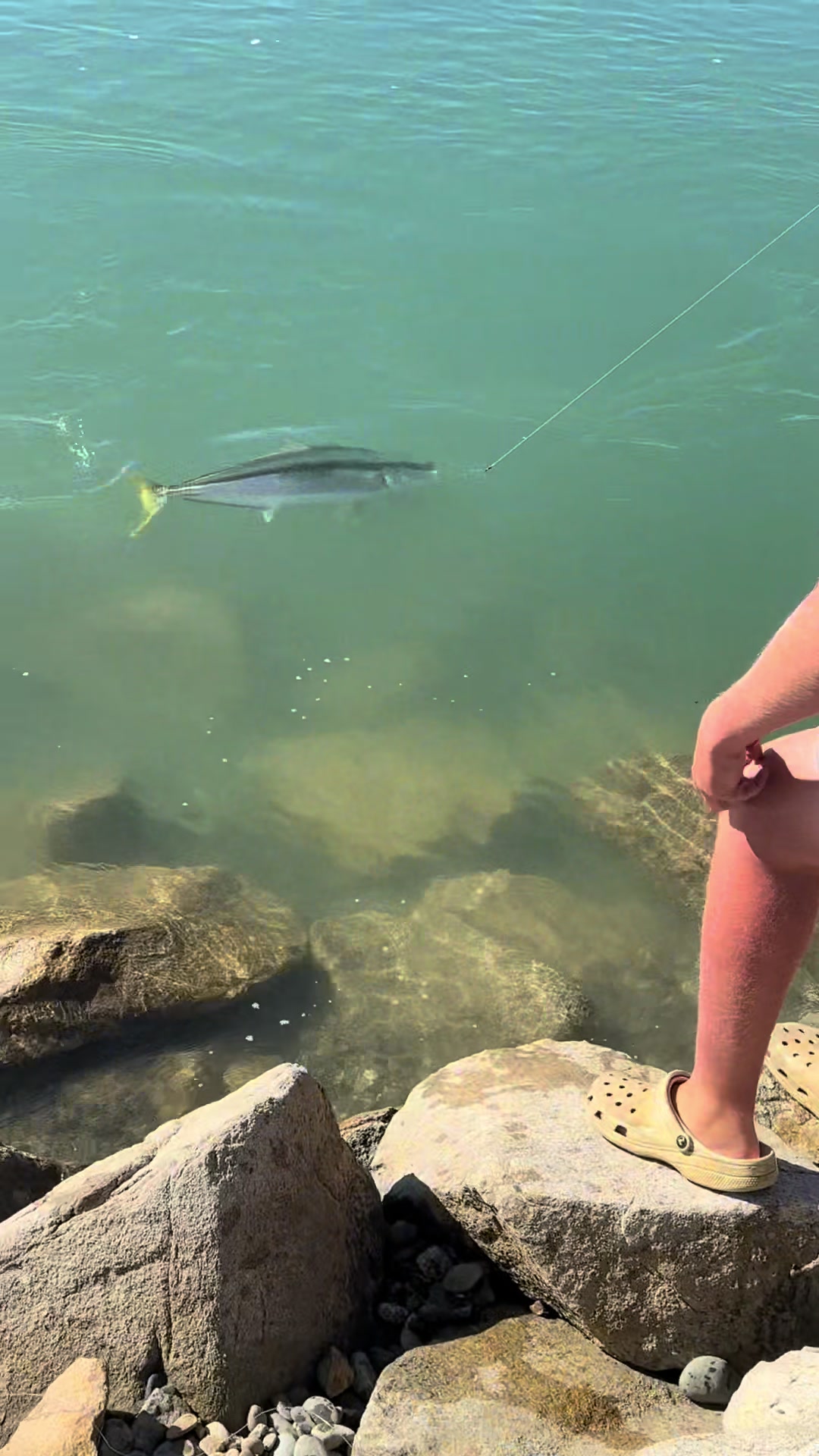 @CC Fishing