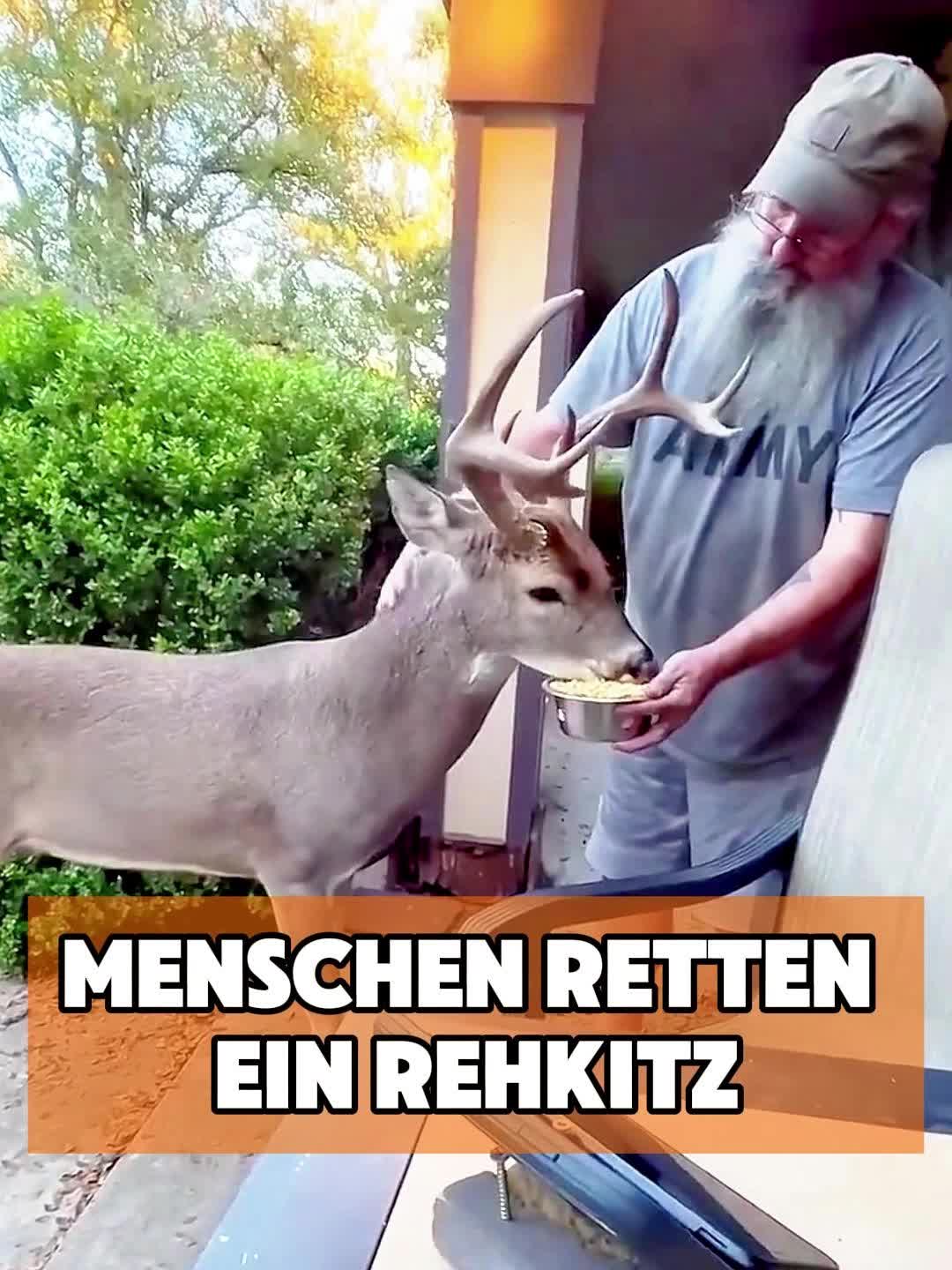 @toto_tier