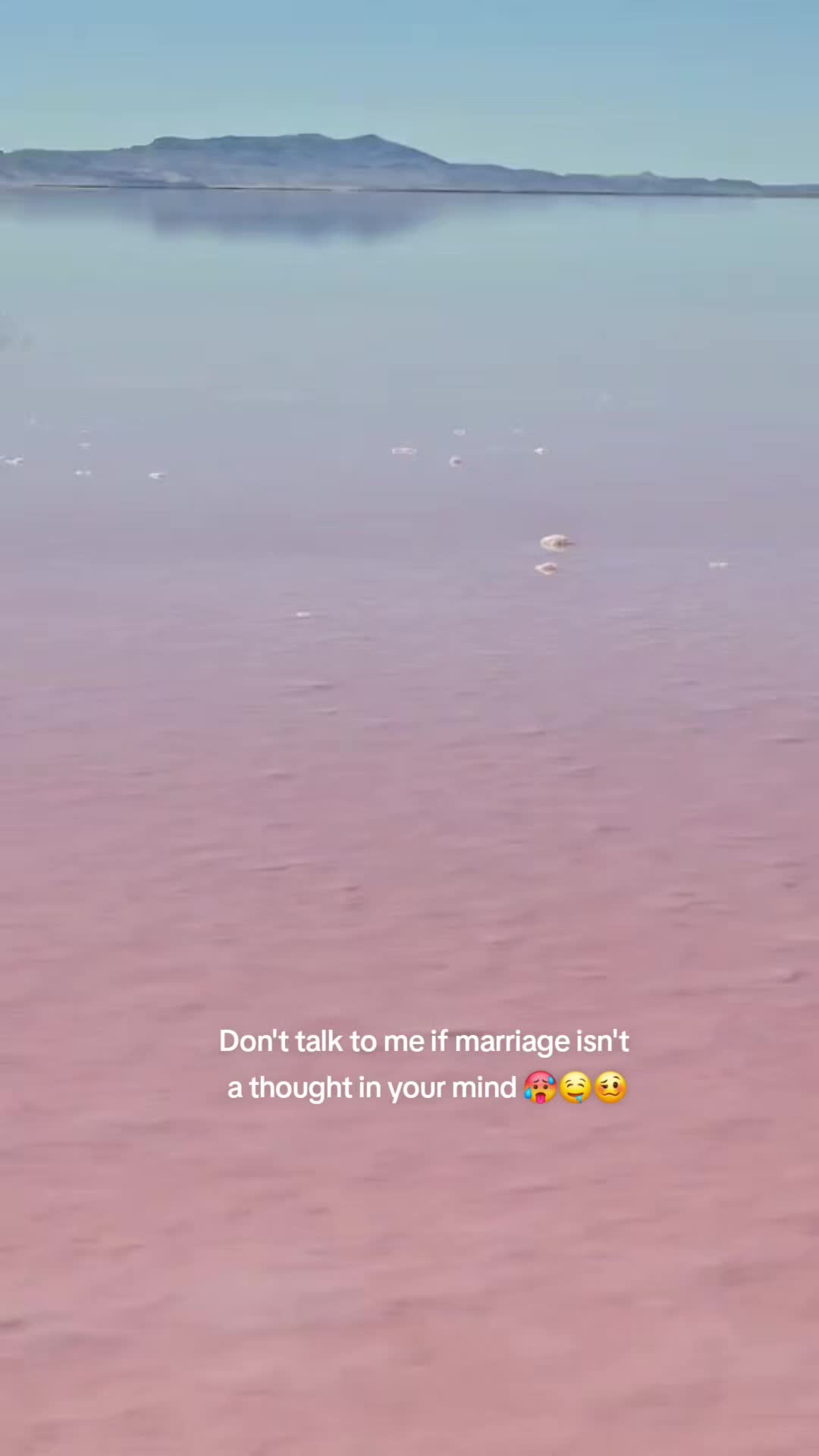 @R0ck3tbunny🐴