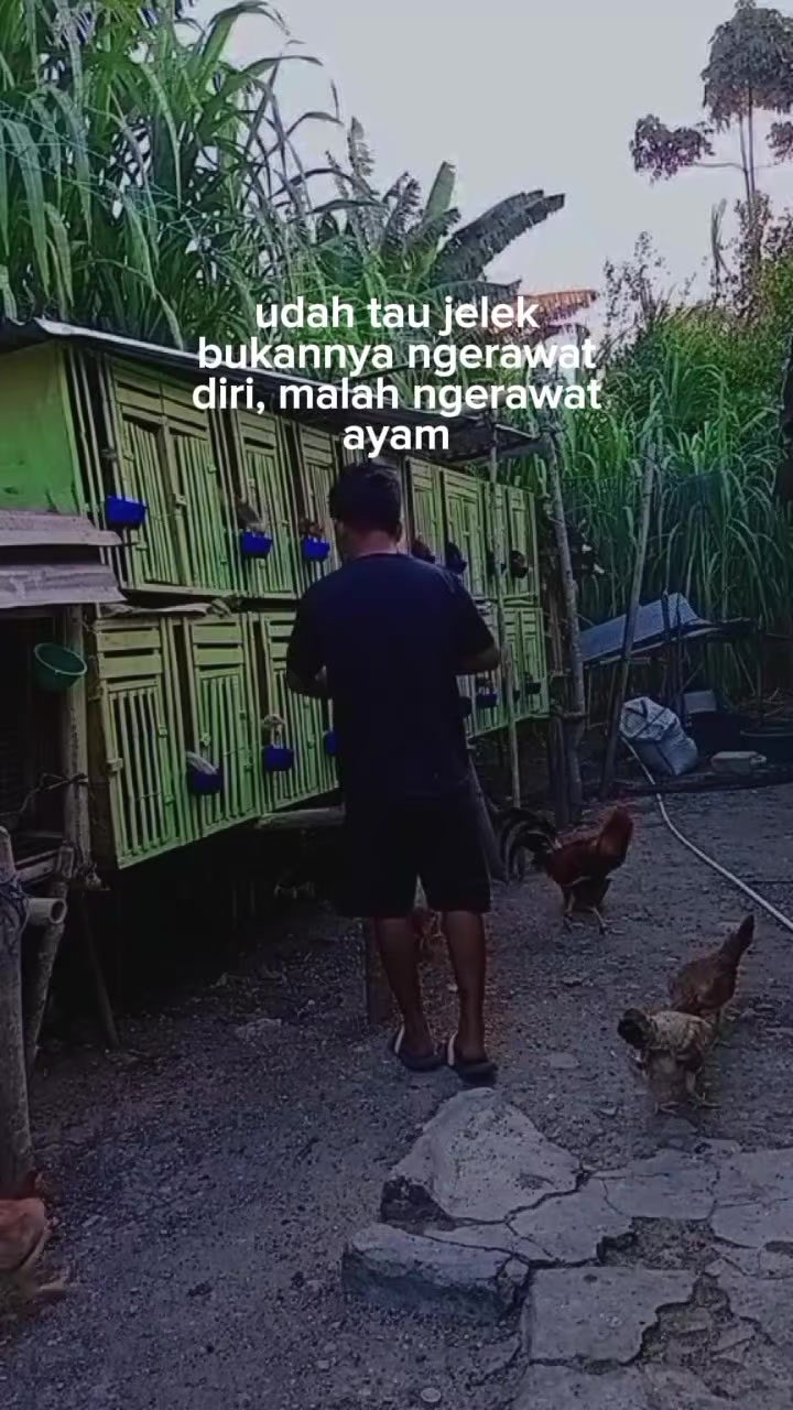 @Fandi lamatenggo