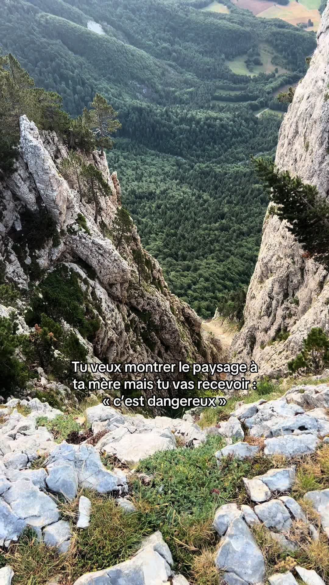 @leolmsl