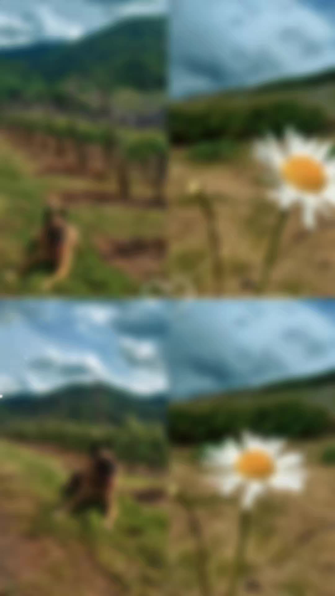 @ᛞᛁᚨᚾᚨ 2.0