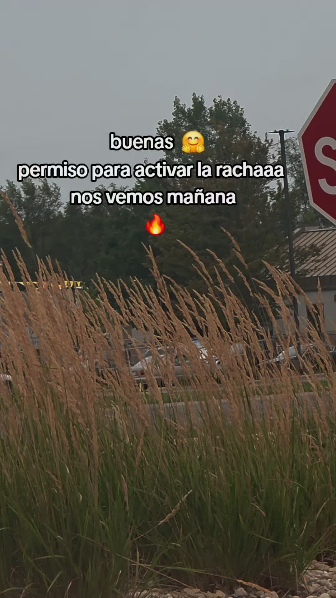 @Wilmer _ Luc 🥷🧃