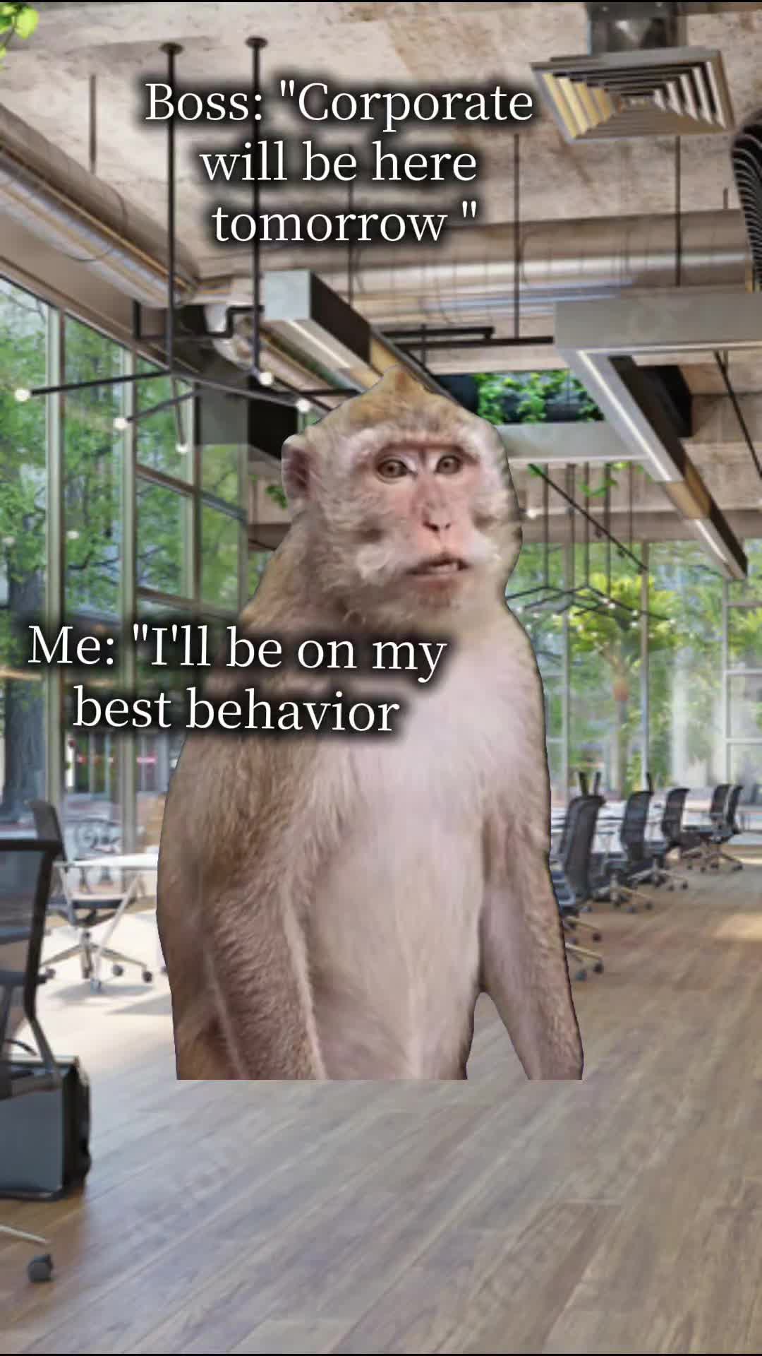 @Sandi Rara