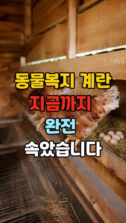 @건강팡팡 KKPP